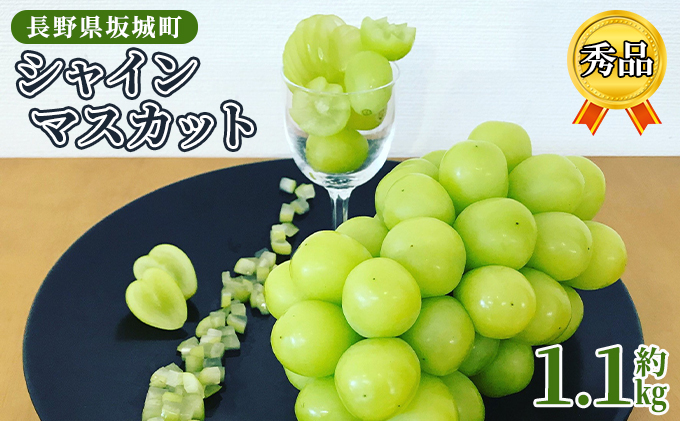 シャインマスカット 約1.1kg 房 秀品 赤坂果樹園 ぶどう 長野 マスカット ブドウ フルーツ 果物 シャイン【 果物類 】 長野県産 