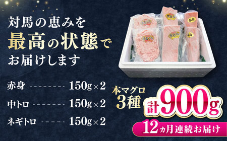 【全12回定期便】 対馬産 本マグロ 3種 計900g（赤身/中トロ/ネギトロ）《対馬市》【対海】 冷凍配送 食べ比べ 贈り物 魚介類[WAH042]