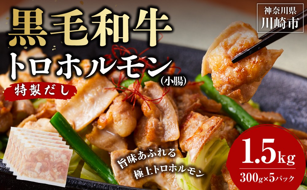 
                  黒毛和牛トロホルモン（小腸）　特製だし1.5kg ( 300g × 5パック )【選べる配送月】
                