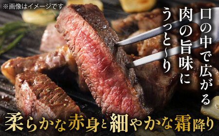 佐賀産和牛 サーロインステーキ 400g / ステーキ [IAG020]