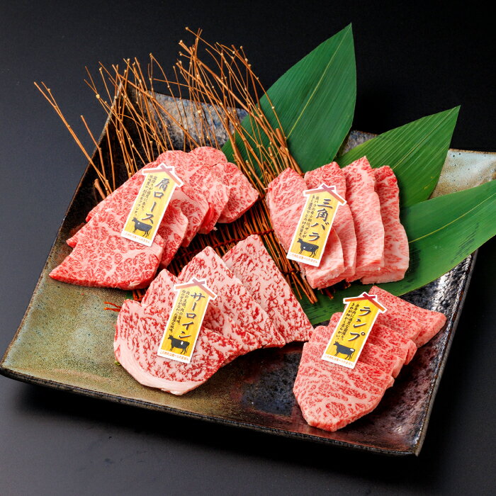 【ふるさと納税】【A5】鳥取和牛焼肉食べ比べセット 400g　KA40