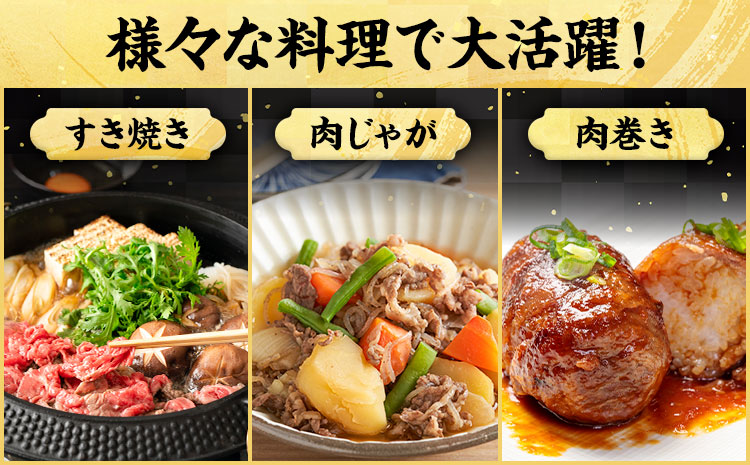 【年間10頭!】大川原高原牛 赤身モモスライス 500g 肉の藤原《30日以内に出荷予定(土日祝除く)》和牛 希少 大川原高原 牛肉 赤身 もも肉 贅沢 あっさり 鍋 炒め物 すき焼き ギフト 贈答