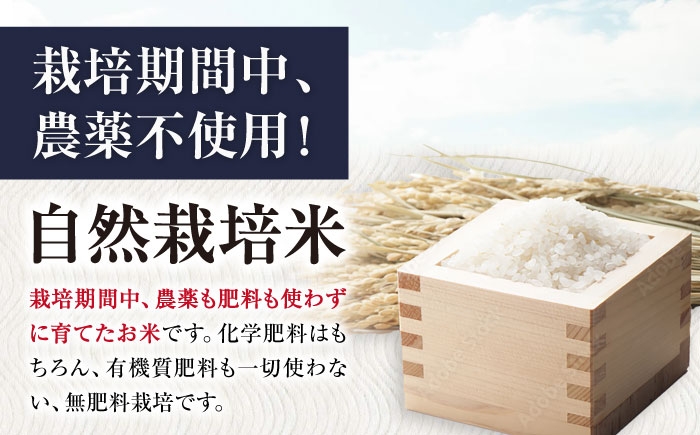 米 お米 玄米 10kg 滋賀旭 自然栽培 長浜市 滋賀県