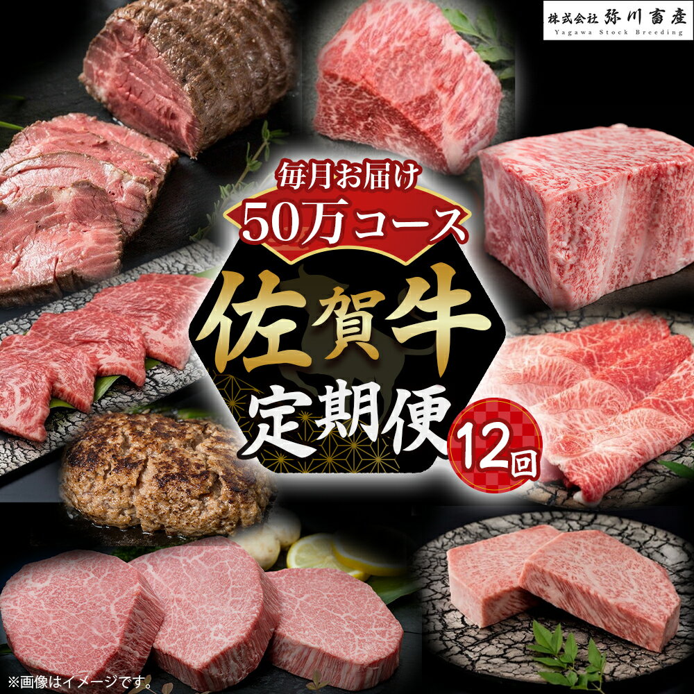 【ふるさと納税】Z2 佐賀牛 毎月お届け便 50万コース 定期便 12回 12ヶ月 すき焼き ロースステーキ ローストビーフ カルビ焼肉 ハンバーグ 赤身焼肉 ヒレステーキ ロースブロック モモブロック しゃぶしゃぶ 高級 人気 おすすめ 佐賀県 太良町