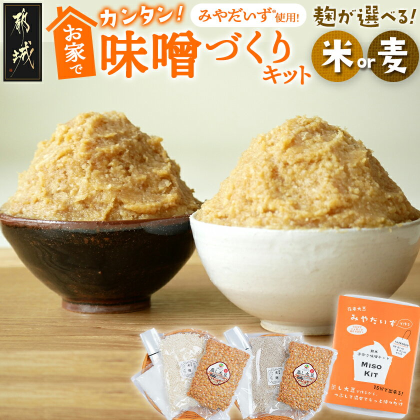 【ふるさと納税】【麹が選べる！】お家で簡単！味噌づくりキット - 味噌 手作り キット 選べる麹 米麹/麦麹 みそ 手作り味噌 簡単 発酵食品 国産大豆 蒸し大豆 パンフレット同梱 自家製味噌 送料無料 SKU-G801 【宮崎県都城市】