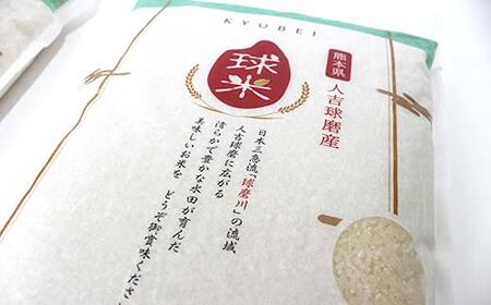 FKP9-680 【令和7年度産】球磨産白米 ひのひかり 10kg 新米 白米 精米 ふっくら 国産米 おすすめ 農家