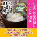 【ふるさと納税】★令和5年産★2010年・2016年 お米日本一コンテスト inしずおか 特別最高金賞受賞 棚田米 土佐天空の郷 にこまる 10kg 定期便 毎月お届け 全6回　定期便・米 にこまる