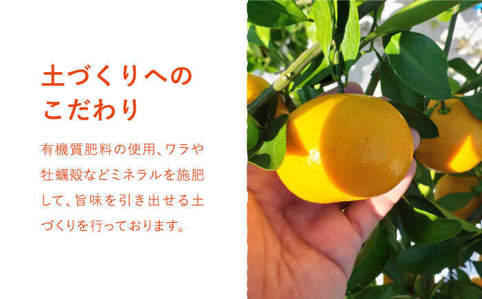 濃くて甘くて、さっぱりおいしい！