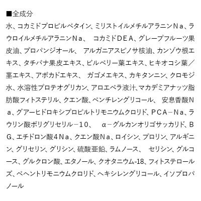 ふるさと納税 板倉町 すっぴん地肌 ナチュラルスカルプシャンプー(2本セット)|13_log-010201 |  | 01
