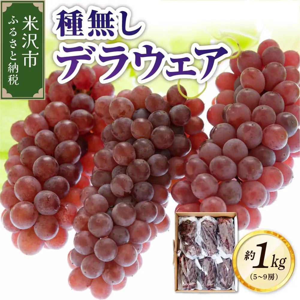 【先行予約】 令和8年産 ぶどう 種無し デラウェア 約1kg 山形