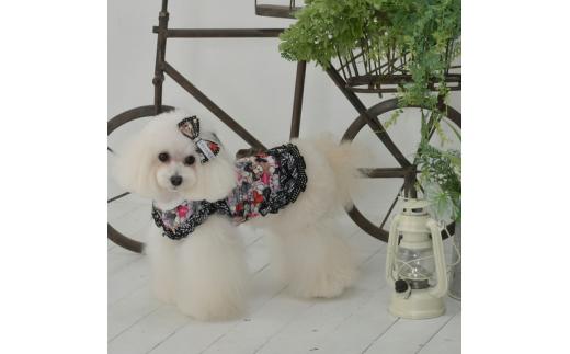 ドッグウェア「VIVIANA」リボン&くま柄フリルタンクトップ　/　Black