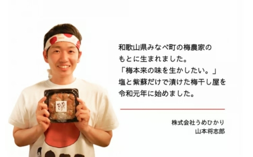 【常温保管可能 】天日塩と紫蘇だけで漬けた無添加梅干し2kg(塩分15％)／南高梅 【umehkr003A】