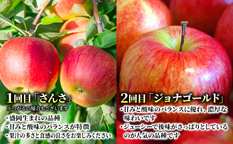 先行予約 りんご 定期便 5回 5種類のりんご 家庭用 約3kg 10玉前後 盛岡ブランド認証 果物 フルーツ 旬の果物 旬のフルーツ 季節の果物 季節のフルーツ 林檎 リンゴ 岩手りんご 岩手 岩手