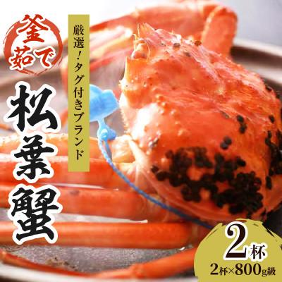 ふるさと納税 京丹後市 ズワイガニ【厳選!タグ付きブランド】茹で松葉かに 鮮度品質自慢!釜茹でにてお届け! 800g級×2杯