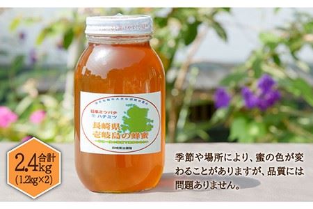【先行予約】 ニホンミツバチ 生蜂蜜 1,200×2（化粧箱付き） 【2026年6月中旬以降順次発送】《壱岐市》【憲ちゃんハチミツ】[JCL008]  ハチミツ 蜂蜜 日本蜜蜂 ギフト プレゼント 贈