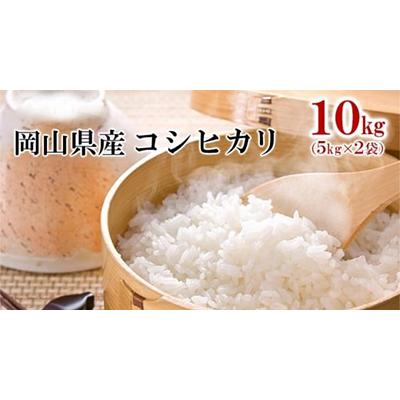 ふるさと納税 高梁市 令和7年産 岡山県産 コシヒカリ 10kg(5kg×2袋)