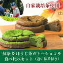 【ふるさと納税】和束産栽培茶の抹茶&ほうじ茶ガトーショコラ食べ比べセット【配送不可地域：離島】【1295680】