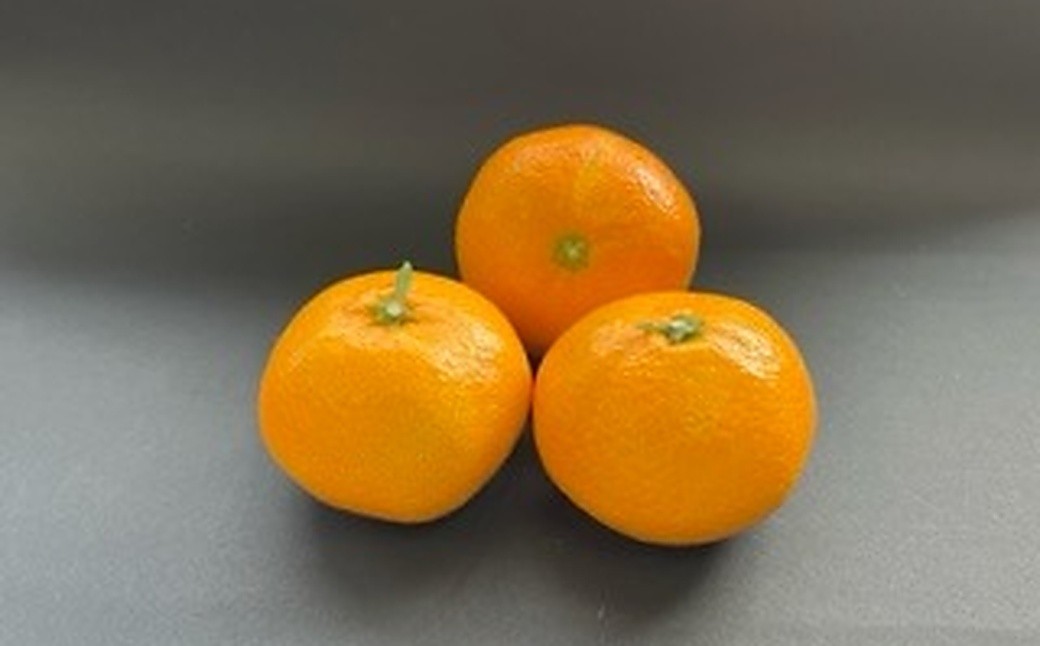 峰農園のゆたたりみかんプレミアム約3kg