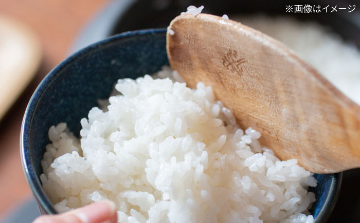 ひのひかり（白米）5kg 【farmY.style】 米 5kg  精米 佐賀県産 国産米 コメ こめ お米 白米 ブランド米 精白米 おにぎり ひのひかり 九州 佐賀県 白石町 人気 おすすめ[ID