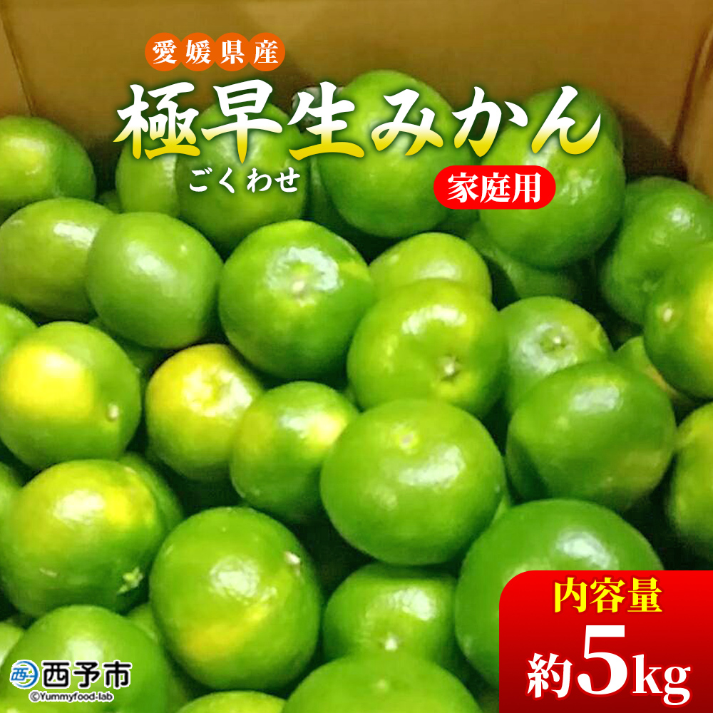 ＜愛媛県産 極早生みかん 約5kg ご家庭用＞ 温州みかん 家庭用 訳あり 果物 ミカン 柑橘 フルーツ 特産品 段畑みかん株式会社 愛媛県 西予市