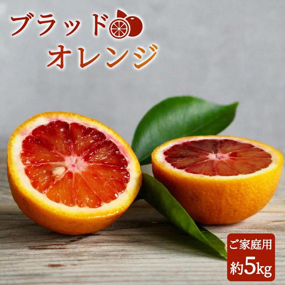 希少な柑橘!紀州有田産ブラッドオレンジ約5kg 【ご家庭用】※2027年3月上旬頃～3月下旬頃に順次発送 (お届け日指定不可) 【uot853A】