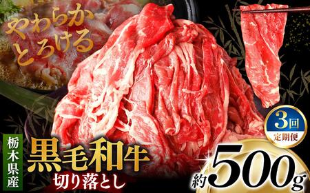 [定期便3回]栃木県産黒毛和牛切り落とし 500g｜数量限定 黒毛 和牛 牛肉 国産牛 国産 ブランド牛 お肉 切り落とし サシ 霜降り 甘い ステーキ すき焼き しゃぶしゃぶ 焼肉 切落し 上品 アレンジ 美味しい 料理 主婦 とちぎ  栃木県 矢板市