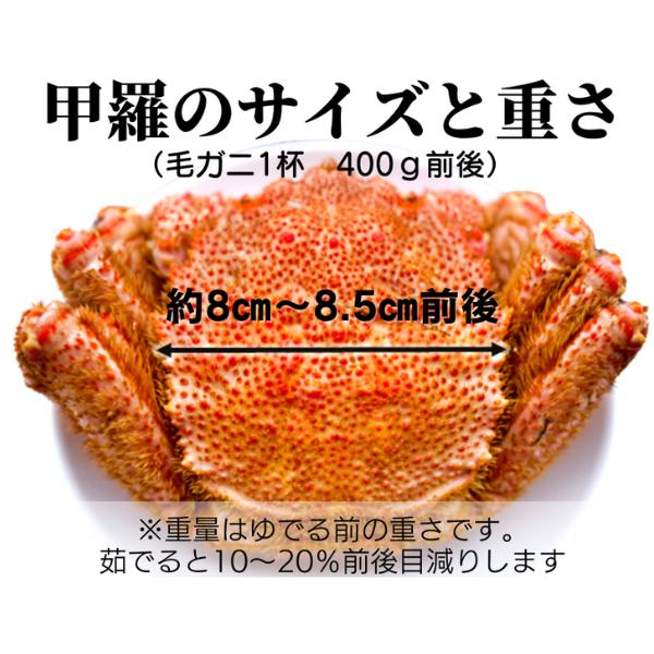 【令和8年発送】三陸産 三陸活毛ガニ 400g×2杯【2026年3月～4月発送】【05】