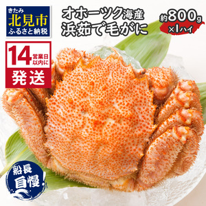 《14営業日以内に発送》オホーツク海産 浜茹で毛がに 約800g×1パイ 冷凍 ( かに カニ 毛ガニ 魚介類 蟹 )【114-0032-2024】