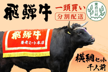 牛一頭まるごと千人前！ 飛騨牛 牛一頭 横綱セット 千人前 計197kg 分割配送 A5等級 すき焼き しゃぶしゃぶ ステーキ 焼肉 BBQ ランプ イチボ カイノミ サーロイン ヒレステーキ ロース 大容量 贅沢 飛騨 ブランド牛 牛肉 高級 贅沢 ご褒美 養老ミート