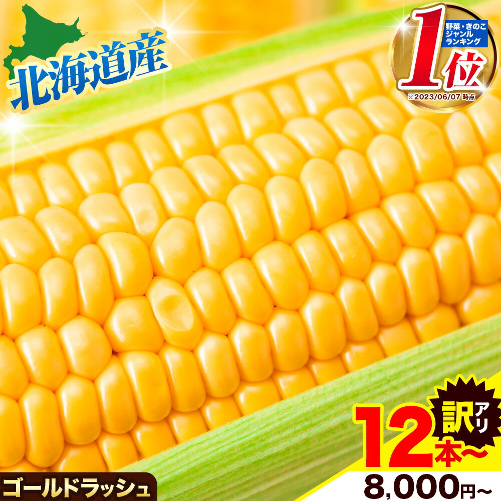 【ふるさと納税】2026年産 先行予約 朝採り ゴールドラッシュ 北海道十勝 本別町産 選べる12本/20本 糖度18度 生で食べれる 極甘 スーパースイート とうもろこし 訳あり 特大 嶋崎農園 冷蔵 送料無料