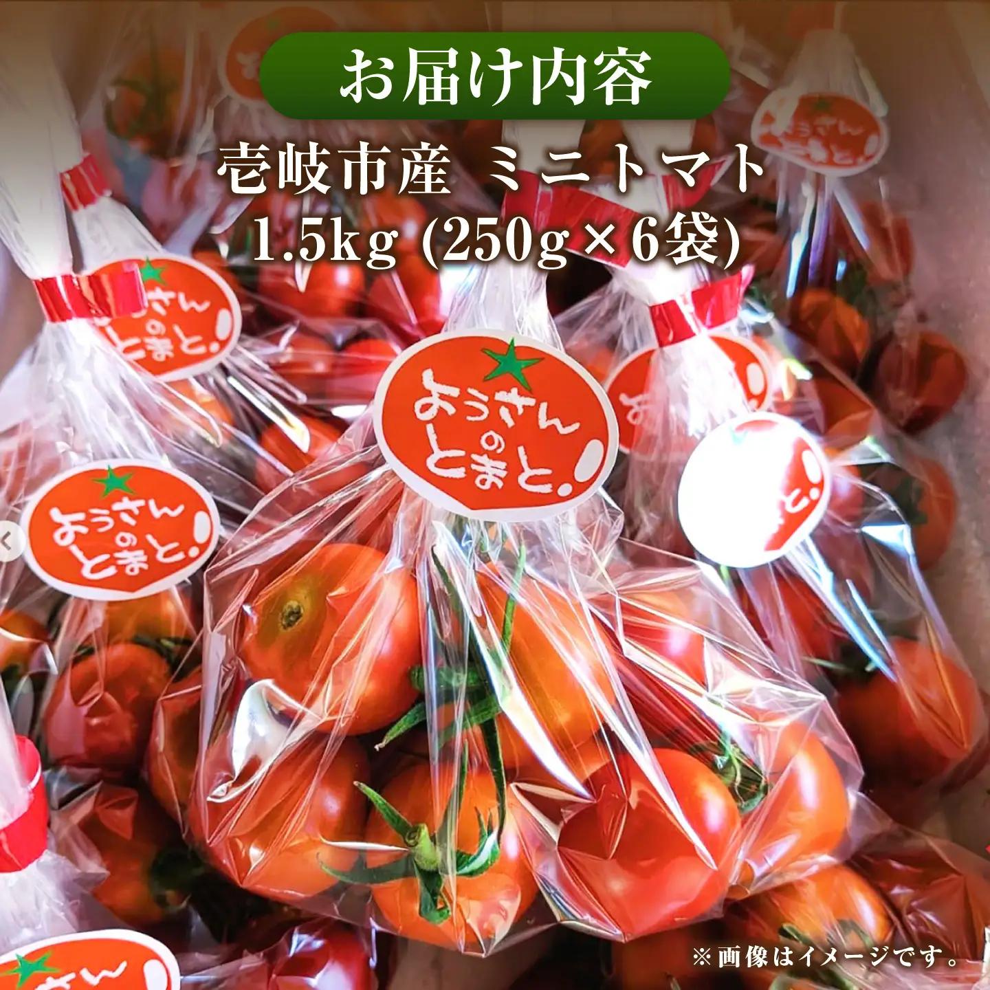 【先行予約】壱岐市産 ミニトマト 1.5kg（250g×6袋）【2026年8月下旬以降順次発送】 《壱岐市》【ようさんのとまと】 野菜 トマト とまと ミニトマト 国産 旬[JHC001]