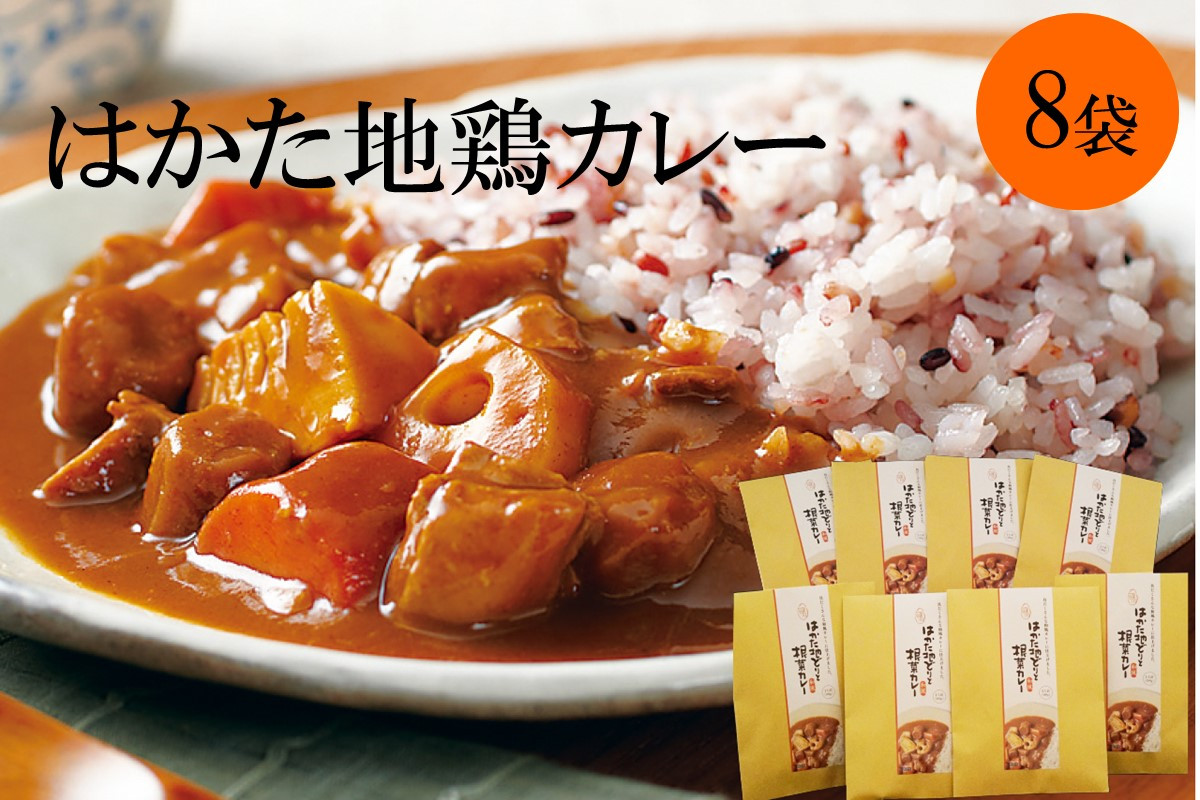 
【地鶏使用】はかた地どりと根菜カレー 具入り8袋【A9-016】
