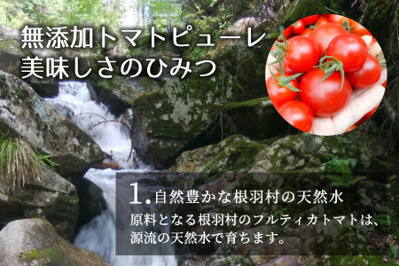 3月発送★保存料･食塩･化学調味料不使用！トマト農家さんのトマトピューレ 2個 ( 320g×2個 ) 