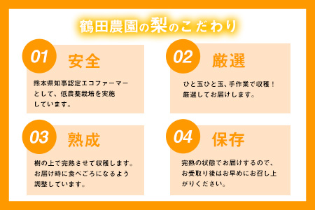 【先行予約】梨 鶴田農園 梨予約 期間限定 豊水 あきづき 甘太 のいずれかお届け 約3kg 6～9玉 熊本県 荒尾市産 《8月下旬-9月下旬頃出荷》 美味しい梨 旬の梨 ジューシー梨 フルーツ梨