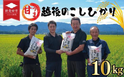 先行予約 こしひかり 白米 10kg 令和7年産 新米 甘うま越後の コシヒカリ 米 お米 こめ 新潟米 新潟県産 新潟産 新潟 新潟県 新発田産 新発田 新発田市 斗伸 toushin014_02
