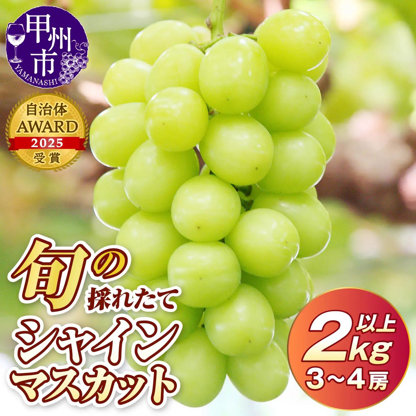旬の採れたて大粒シャインマスカット2.0kg以上（3房～4房）【令和7年 2025年発送】（HO）B18-401【シャインマスカット 葡萄 ぶどう ブドウ 令和7年発送 期間限定 山梨県産 甲州市 フルーツ 果物】