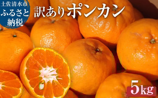 【令和８年発送　訳あり】 ポンカン５kg（オレンジ園）果物類 デコポンの親 みかん ミカン 柑橘類 果物 果実 フルーツ ぽんかん でこぽん おやつ デザート 甘い 美味しい 家庭用 名物 国産【R01080】