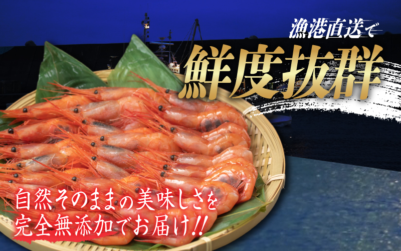 【小分け】越前産冷凍甘えび大サイズ 約250g × 4パック 合計約1.0kg