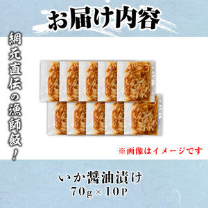 網元直伝の漁師飯！いか醤油漬けセット(計700g・70g×10P) 国産 地魚 魚介 海鮮 醤油漬け 海の幸 おつまみ いか イカ ごはんのお供 冷凍【sm-AJ002】【福栄】