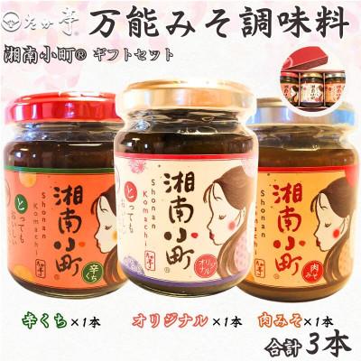 ふるさと納税 藤沢市 湘南小町ギフトセット