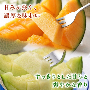 【先行予約】マスクメロン（贈答用） 2玉入 青肉赤肉 高級メロン！ ／ マスクメロン 果物 フルーツ ギフト 農家直送 NE030
