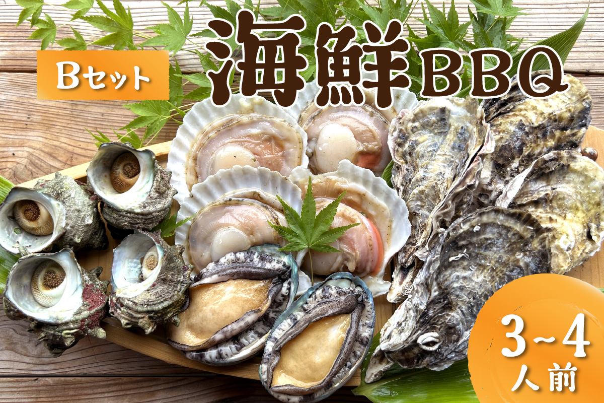 大満足！京丹後・海鮮BBQ　Bセット　貝づくし蒸しアワビ付　4種14品（3～4人前）　YK00317