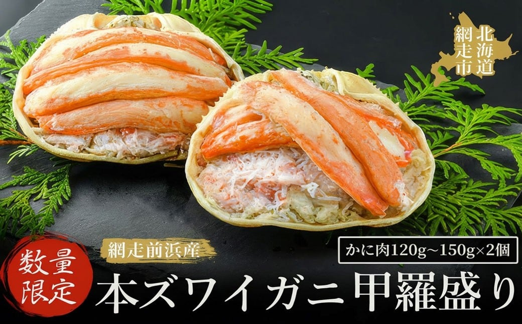 
            【数量限定】＜網走前浜産＞本ズワイガニ甲羅盛り 選べる【かに肉120g～150g】2個【 かに かに肉 蟹肉 ガニ 蟹 本ズワイガニ ズワイガニ ずわい ズワイ ずわい蟹 ズワイ蟹 カニの甲羅盛り 甲羅盛り 海鮮 新鮮 網走産 オホーツク ふるさと納税 人気 おすすめ ランキング 北海道 網走市 送料無料 】 ABAI004-v
          