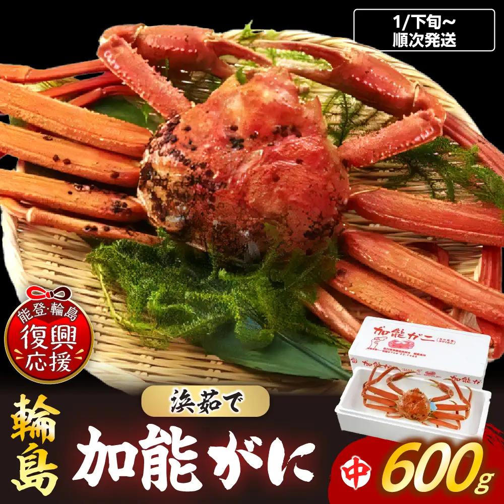 【先行予約】浜茹で加能ガニ（雄）【中】R9年発送 wa001 蟹 蟹