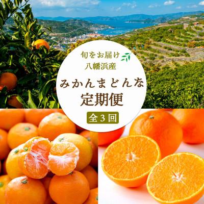 ふるさと納税 八幡浜市 【2週間毎定期便】愛媛みかん5kg×小玉みかん6kg×まどんな3.5kg 【H25-284】全3回