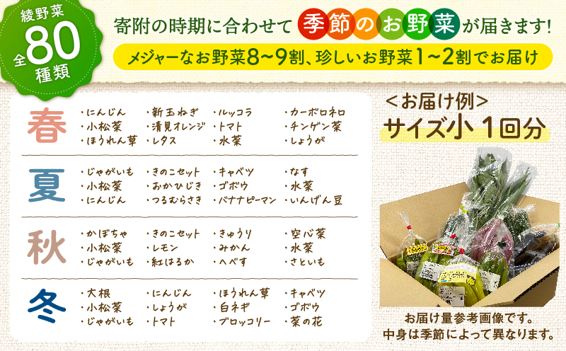 日時指定可能！本日のお野菜セット（サイズ中）【全６回定期便】