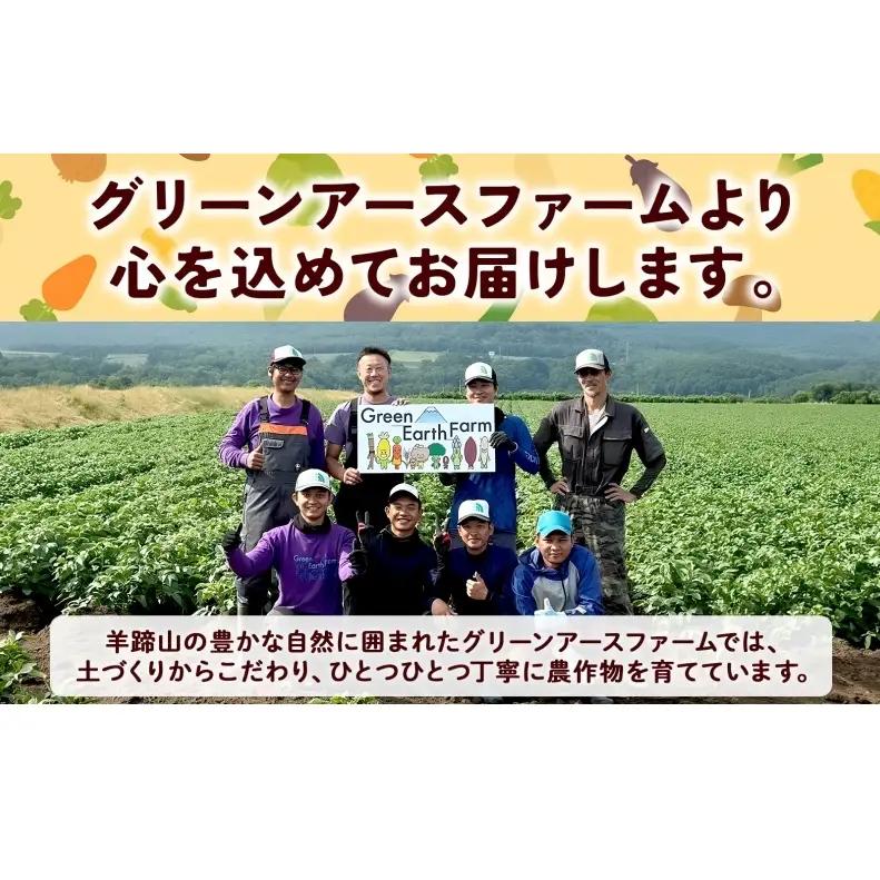 とうもろこし 味来 2Lサイズ 26本 約10kg 北海道産 朝もぎ イエロー コーン みらい