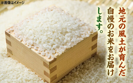 【3回定期便】武雄市産 さがびより 白米 5kg /株式会社 y's company（utsu和ya）[UDX025]