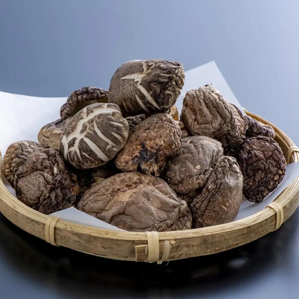 乾し椎茸セット【大分県新ブランドうまみだけ80g×3袋、こつぶ椎茸60g×2袋】 | 豊後高田市 しいたけ
