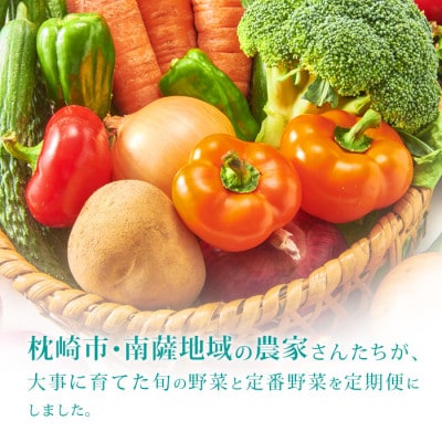 【発送月固定定期便】枕崎には野菜もある!!定番・旬の野菜お任せセット HH0−0002 全6回【配送不可地域：離島】【4057570】